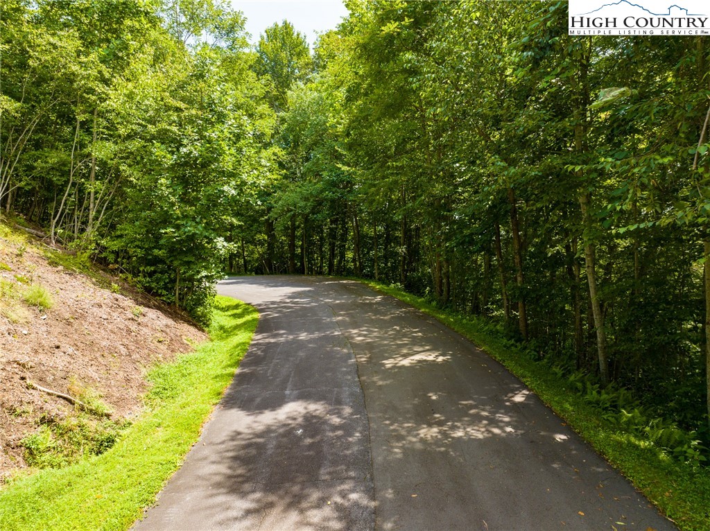 Lot 318 Tonawanda Trail Boone, NC 28607 - Photo 2 of 7 a view of a back yard