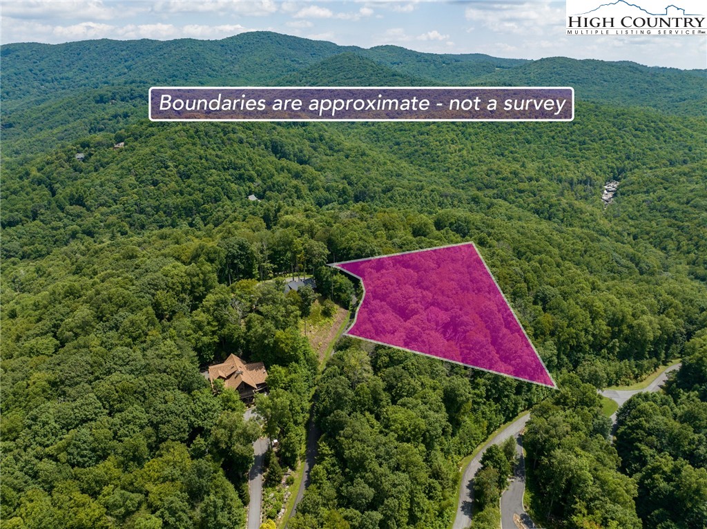 Lot 318 Tonawanda Trail Boone, NC 28607 - Photo 5 of 7 a view of a lush green and red yard