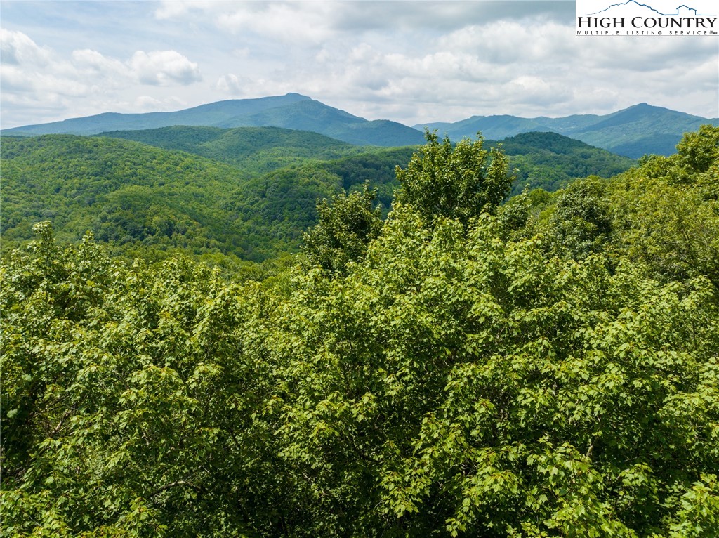 Lot 318 Tonawanda Trail Boone, NC 28607 - Photo 6 of 7 a view of a lush green forest with trees in the background