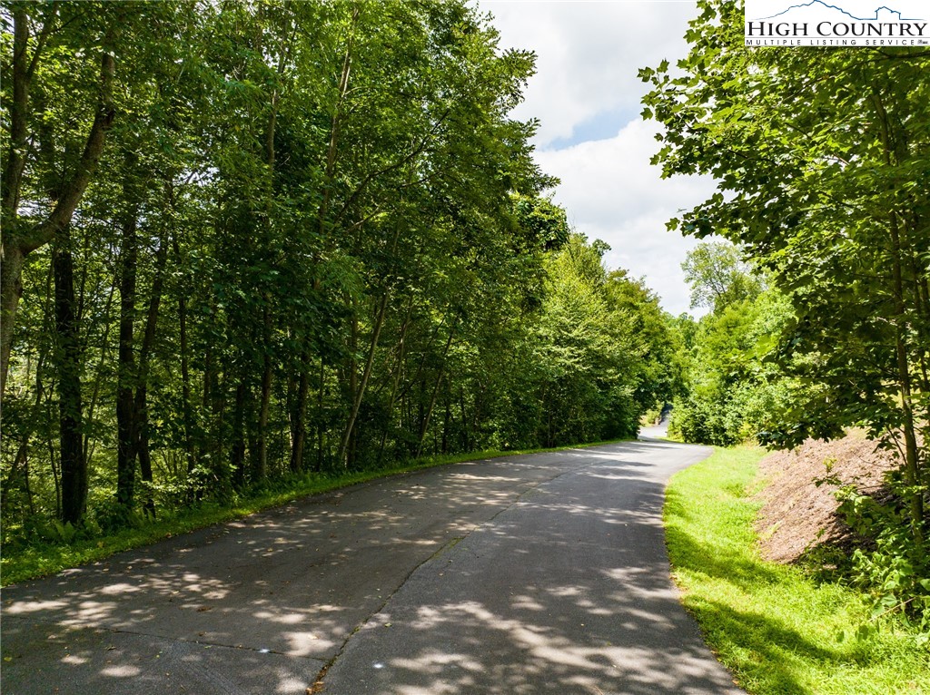 Lot 318 Tonawanda Trail Boone, NC 28607 - Photo 7 of 7 a view of backyard with green space