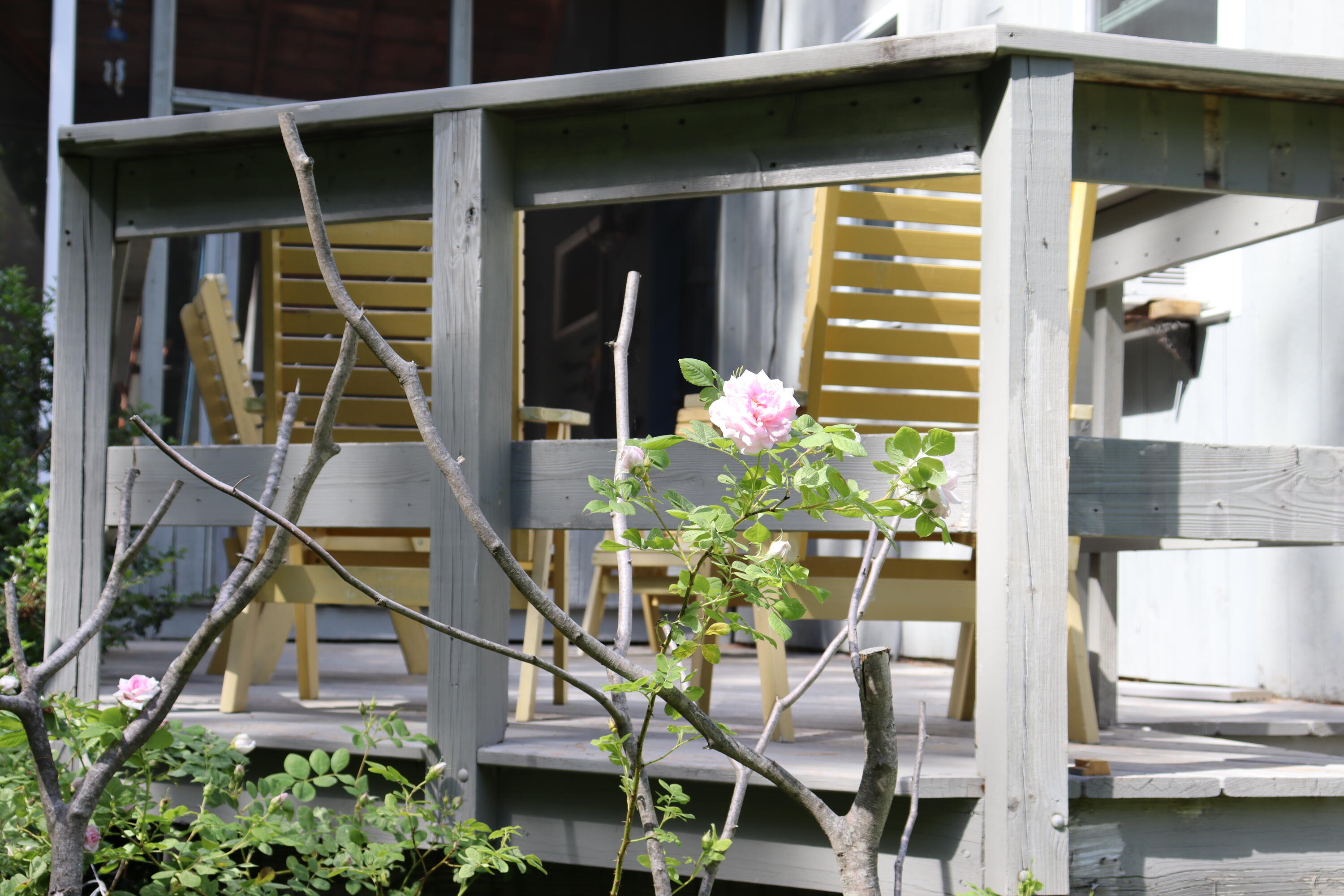 32 Desert Pond Road Mount Vernon, ME 04352 - Photo 35 of 58 Rose Deck