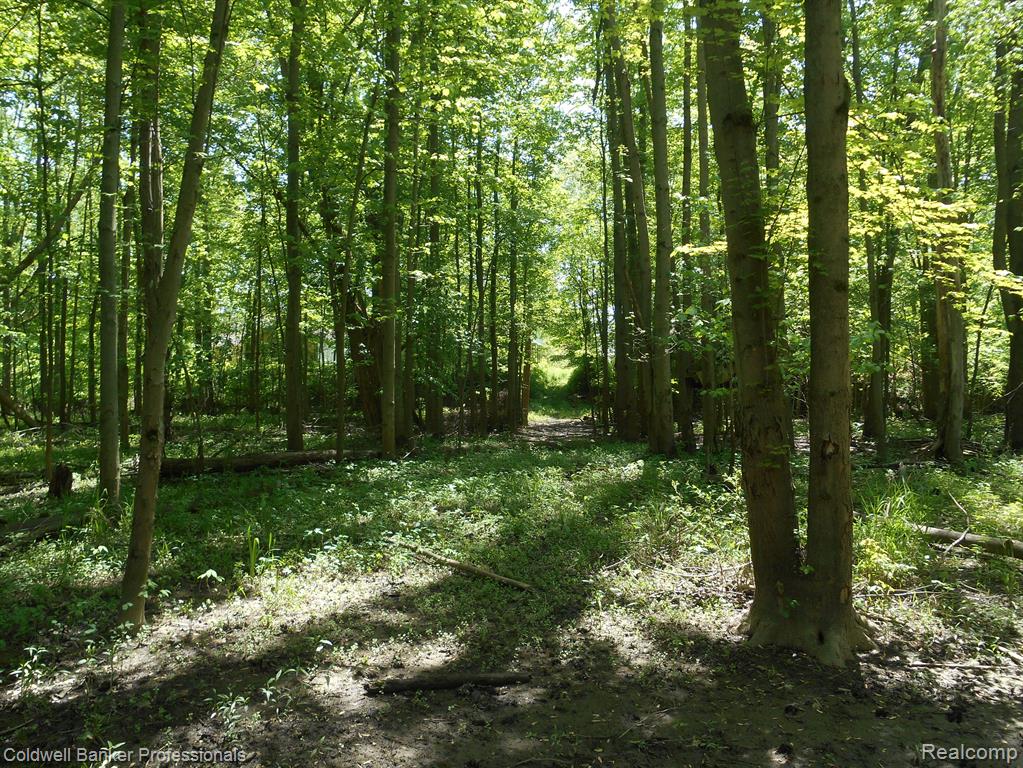 1651 Castle Road North Branch, MI 48461 - Photo 24 of 30 Gallery Image 24