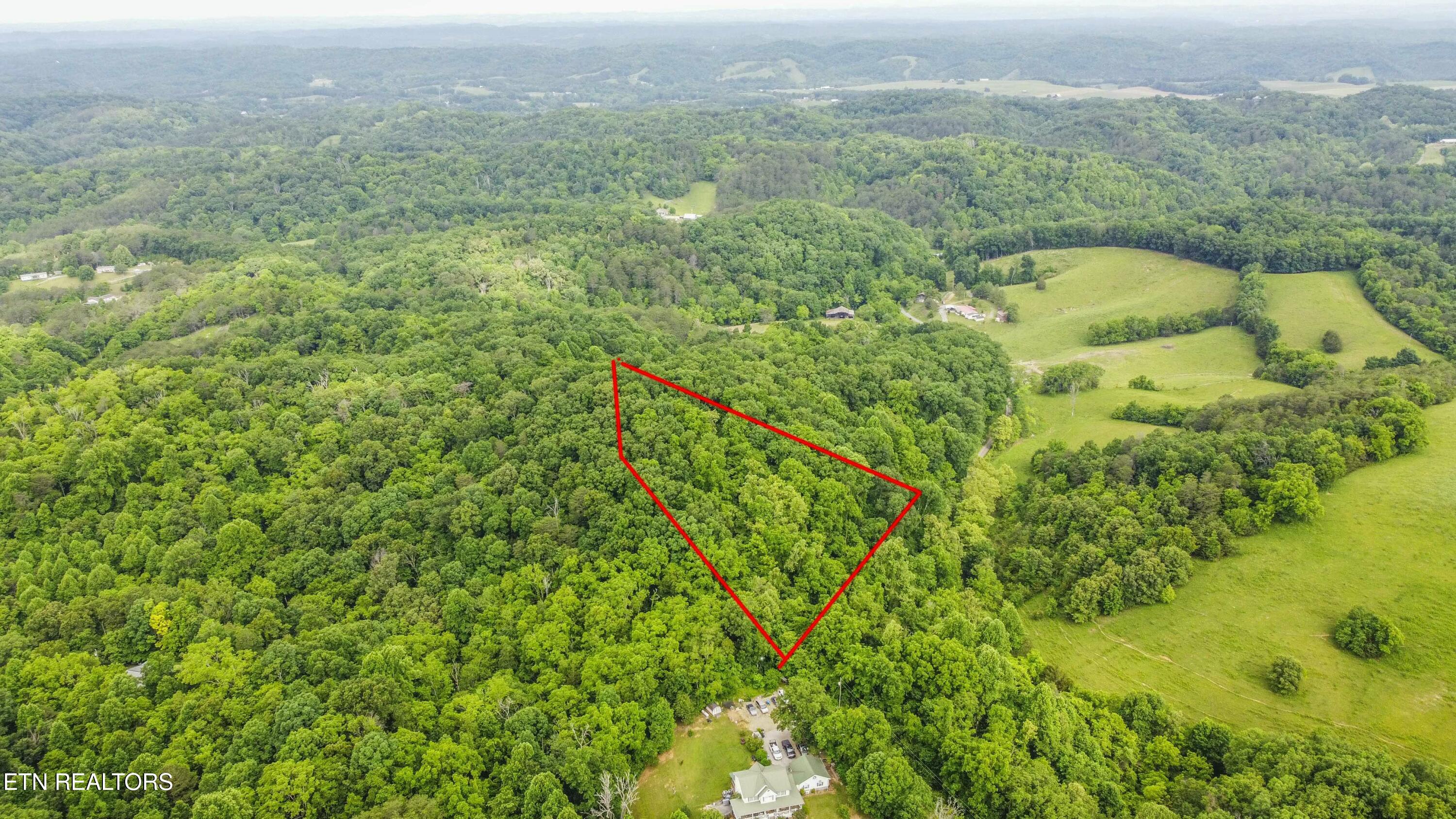 0 Looney Road Road Parrottsville, TN 37843 - Photo 3 of 6 Looney Road