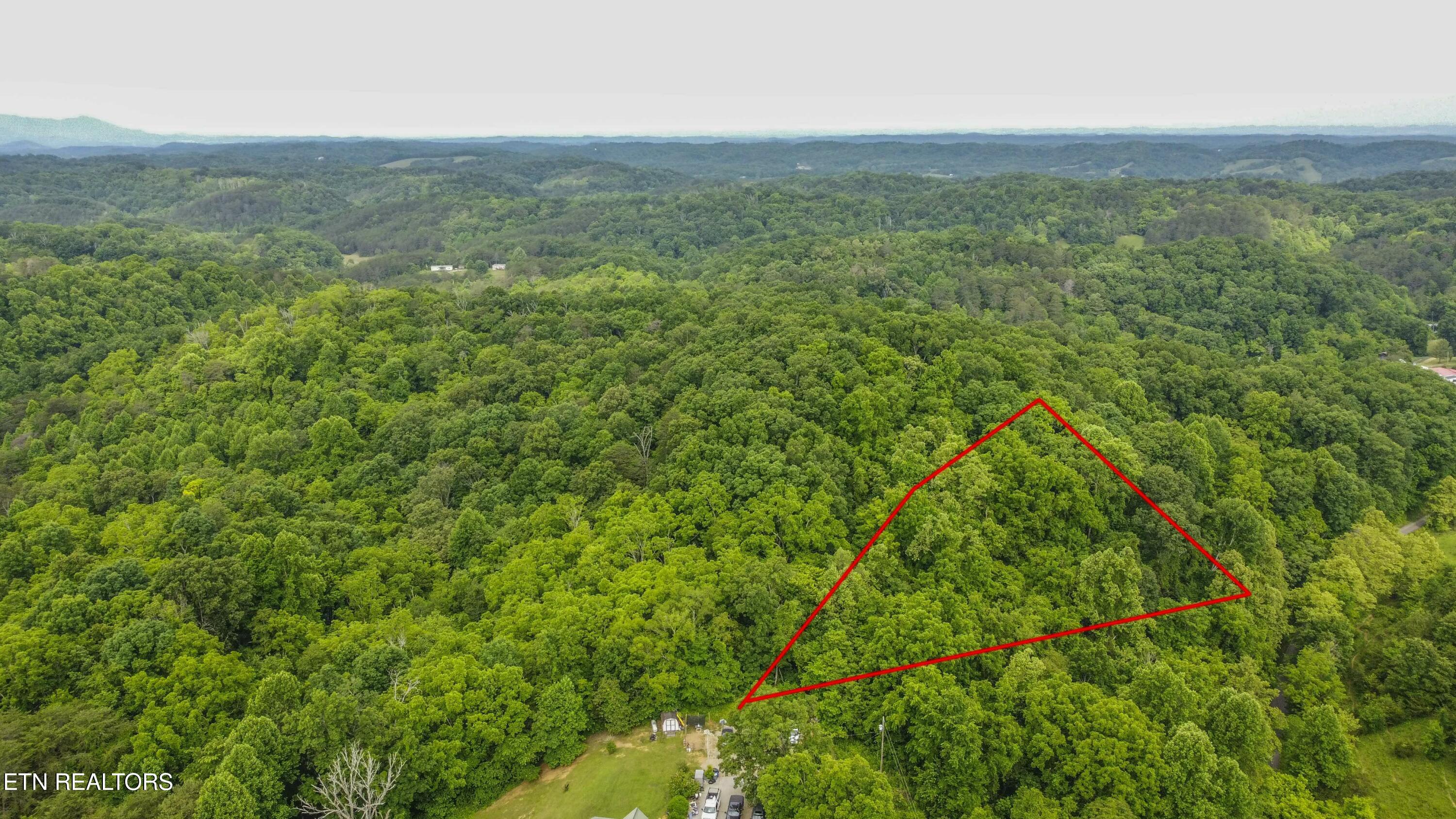 0 Looney Road Road Parrottsville, TN 37843 - Photo 4 of 6 Looney Road