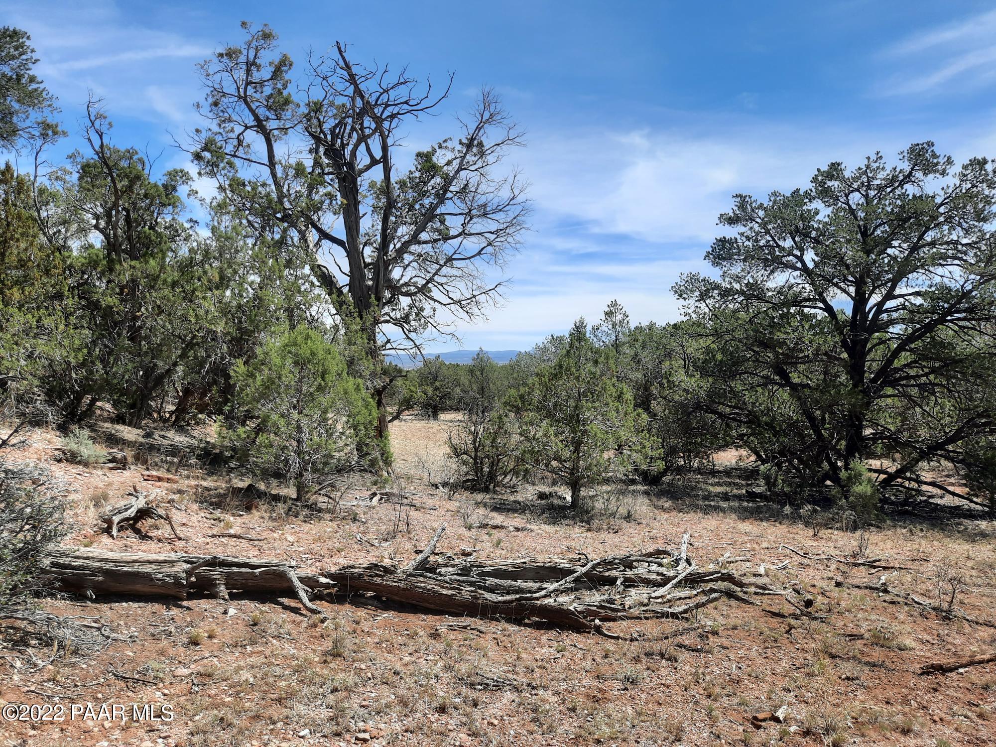 Lot 7 Kimlee Road Ash Fork, AZ 86320 - Photo 2 of 10 20220527_102128