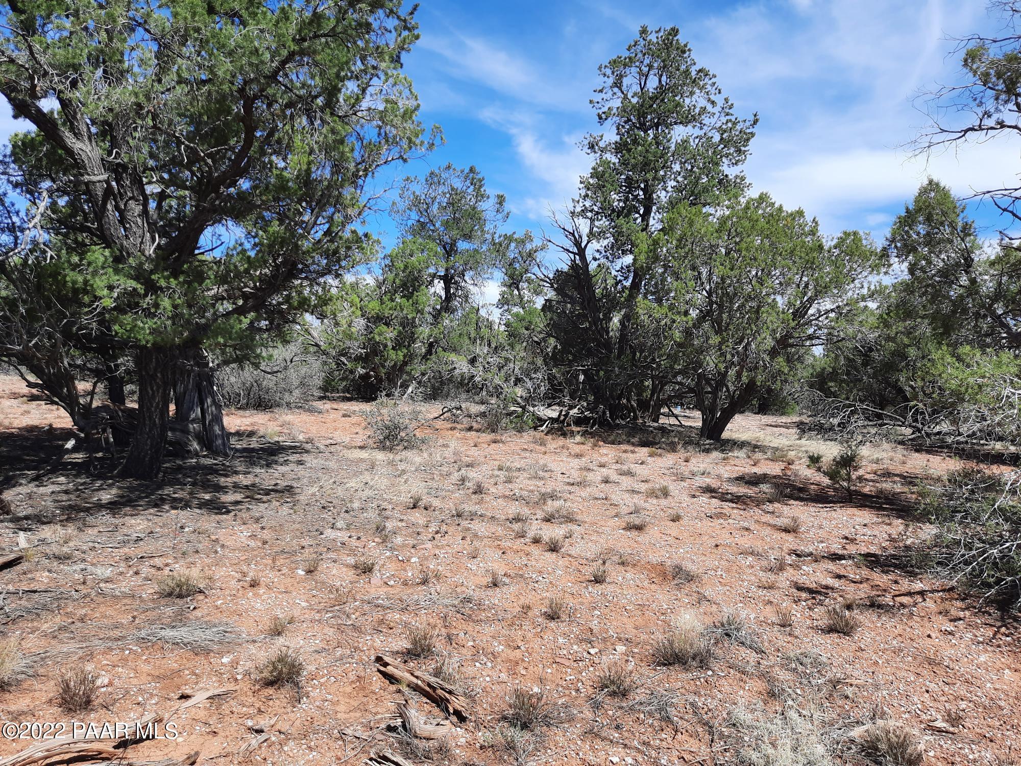 Lot 7 Kimlee Road Ash Fork, AZ 86320 - Photo 3 of 10 20220527_101911