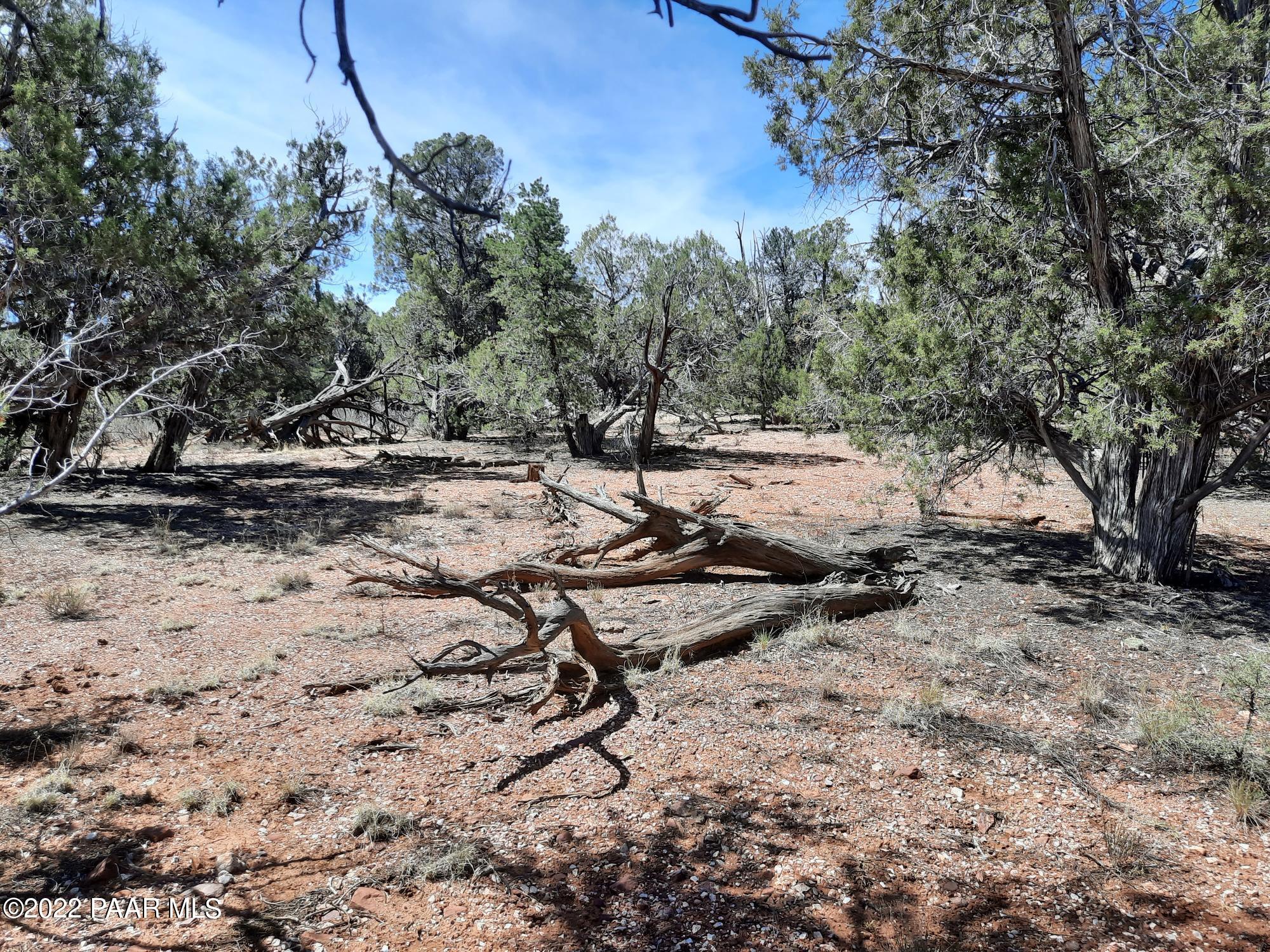 Lot 7 Kimlee Road Ash Fork, AZ 86320 - Photo 4 of 10 20220527_101904