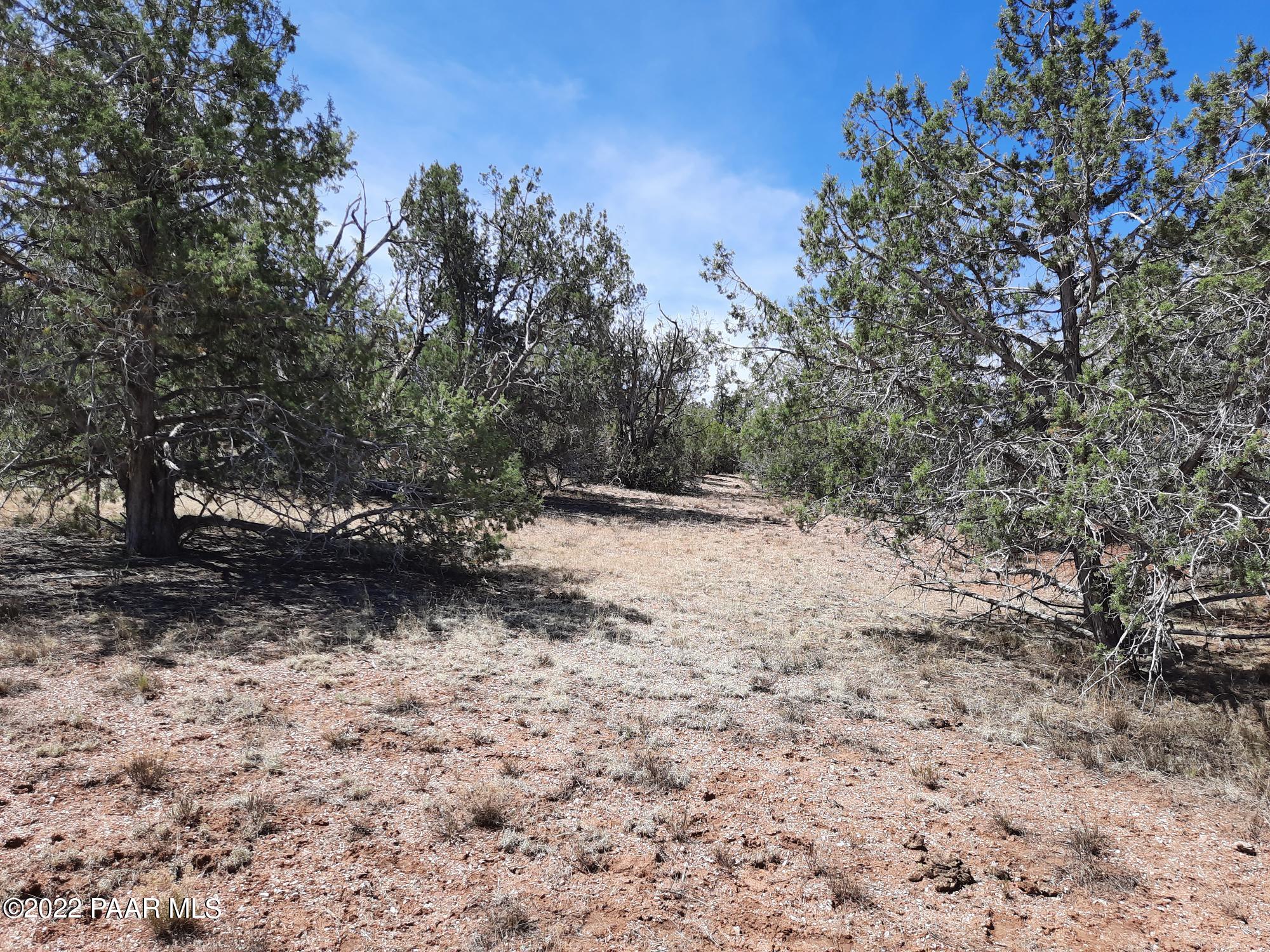 Lot 7 Kimlee Road Ash Fork, AZ 86320 - Photo 6 of 10 20220527_101257