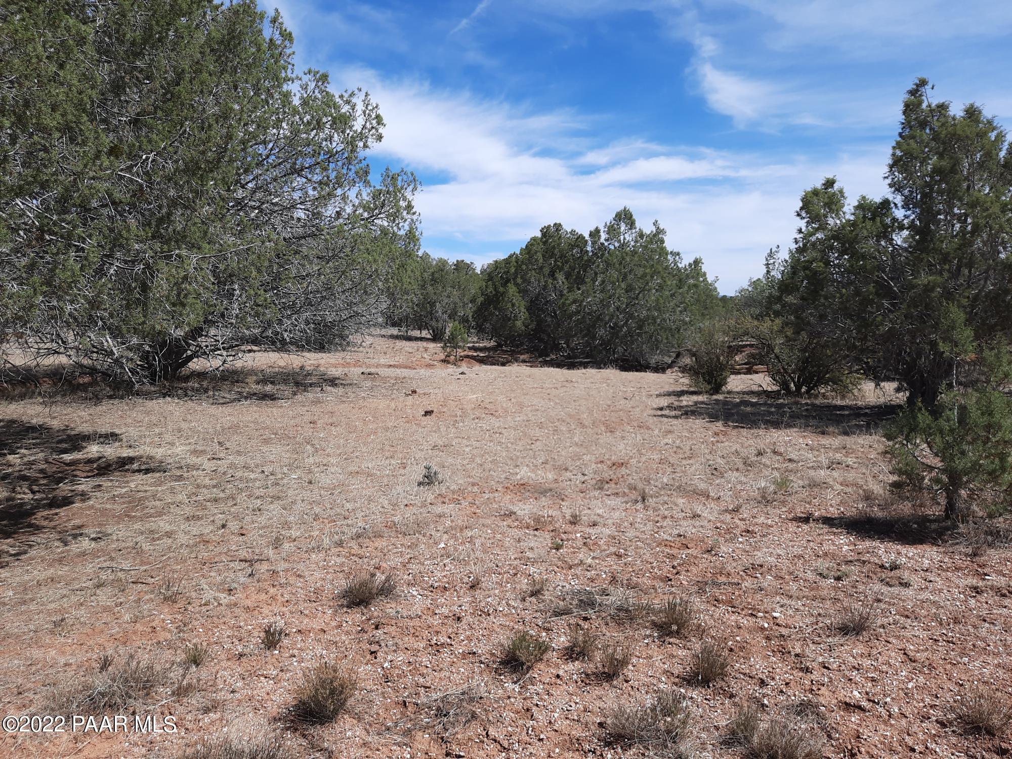 Lot 7 Kimlee Road Ash Fork, AZ 86320 - Photo 7 of 10 20220527_101243