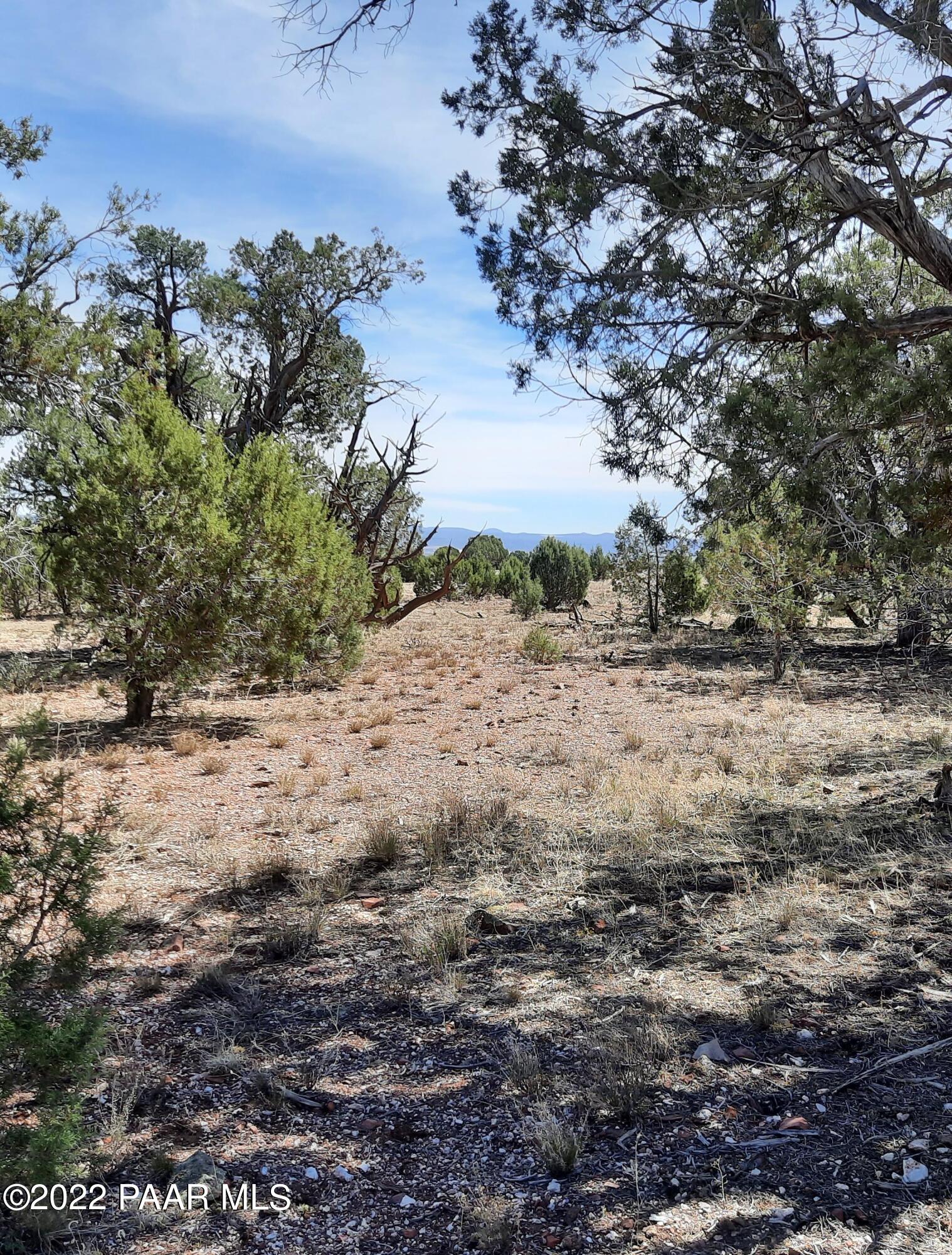 Lot 7 Kimlee Road Ash Fork, AZ 86320 - Photo 8 of 10 20220527_101015_resized