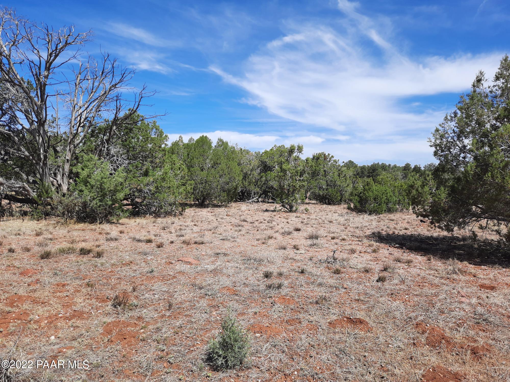 Lot 7 Kimlee Road Ash Fork, AZ 86320 - Photo 10 of 10 20220527_100743