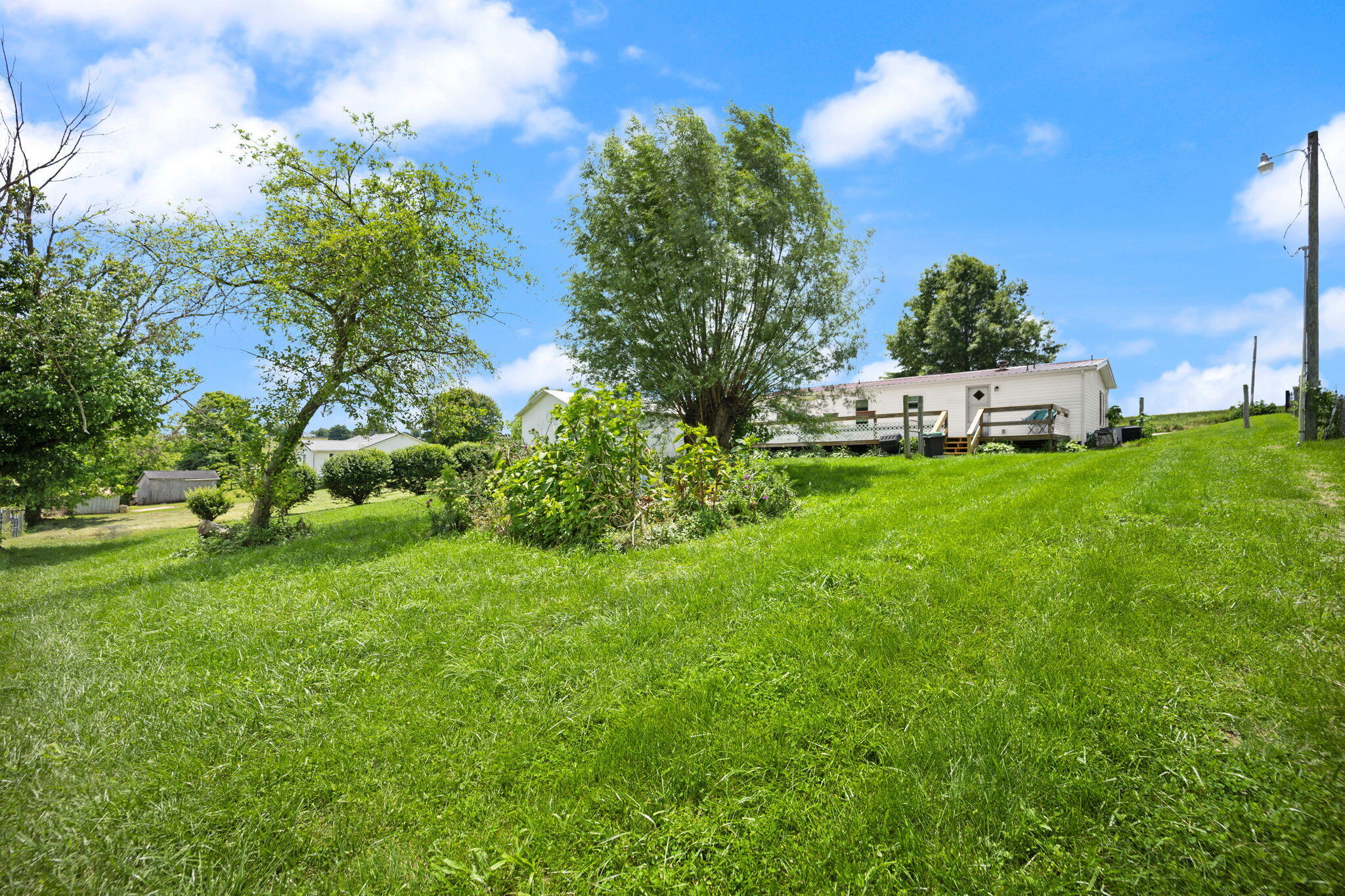 1450 Clear Fork Road Waynesburg, KY 40489 - Photo 17 of 23 Back yard