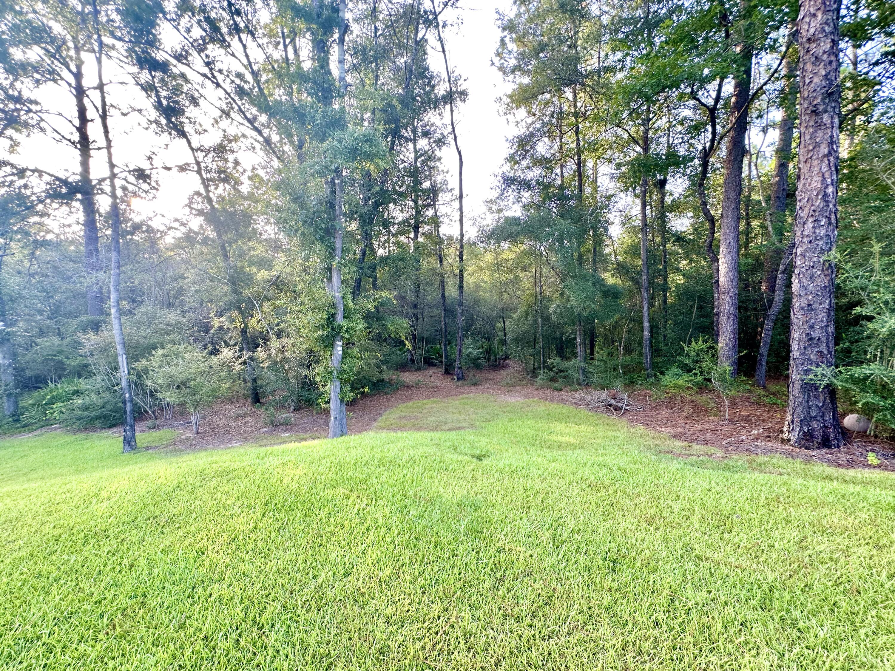 1207 Tallokas Road Crestview, FL 32536 - Photo 14 of 58 a view of a backyard with a small cabin