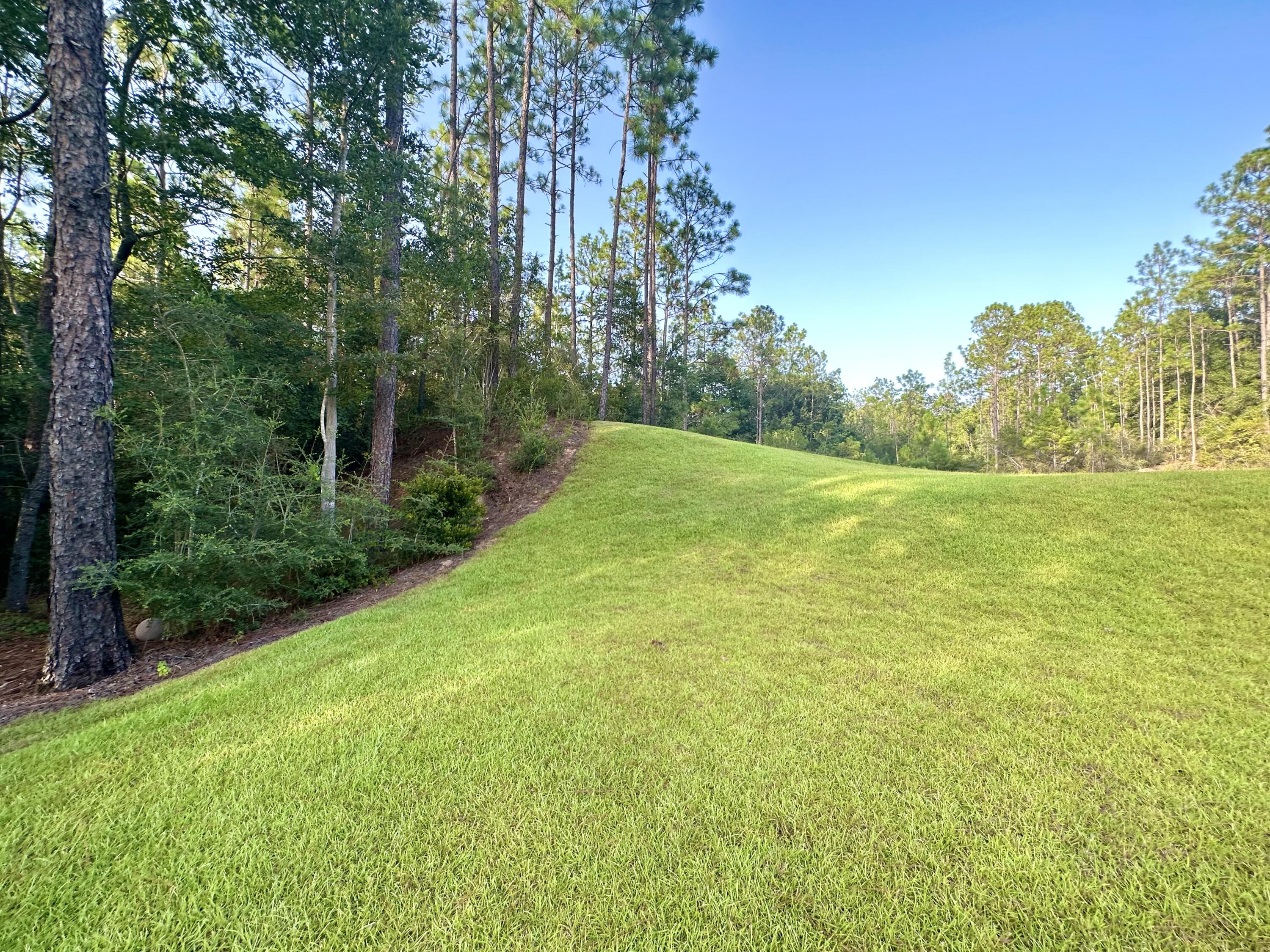 1207 Tallokas Road Crestview, FL 32536 - Photo 9 of 58 a view of field with trees in the background