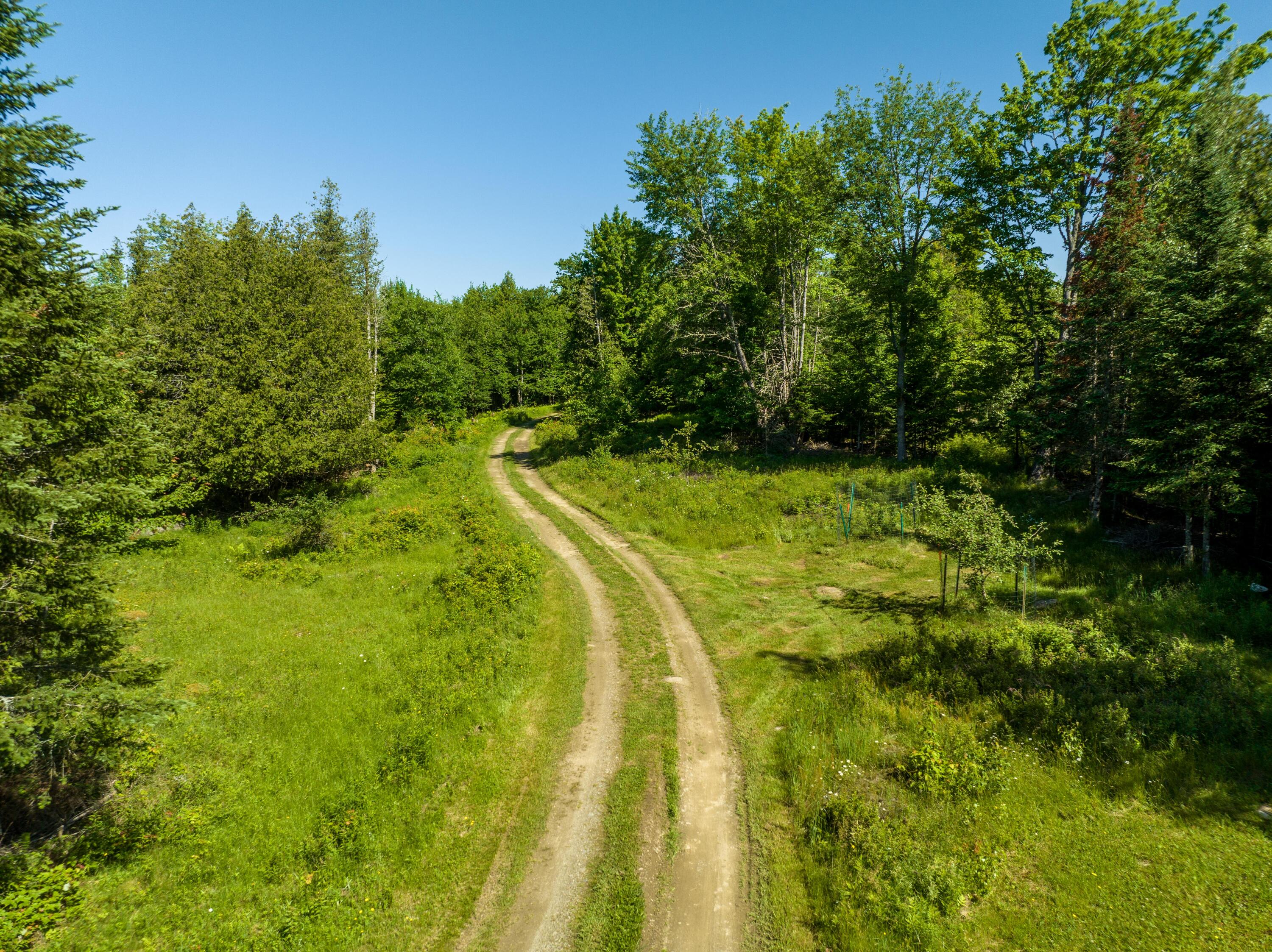 185 Durham Bridge Road Newport, ME 04953 - Photo 68 of 116 Driveway into property...