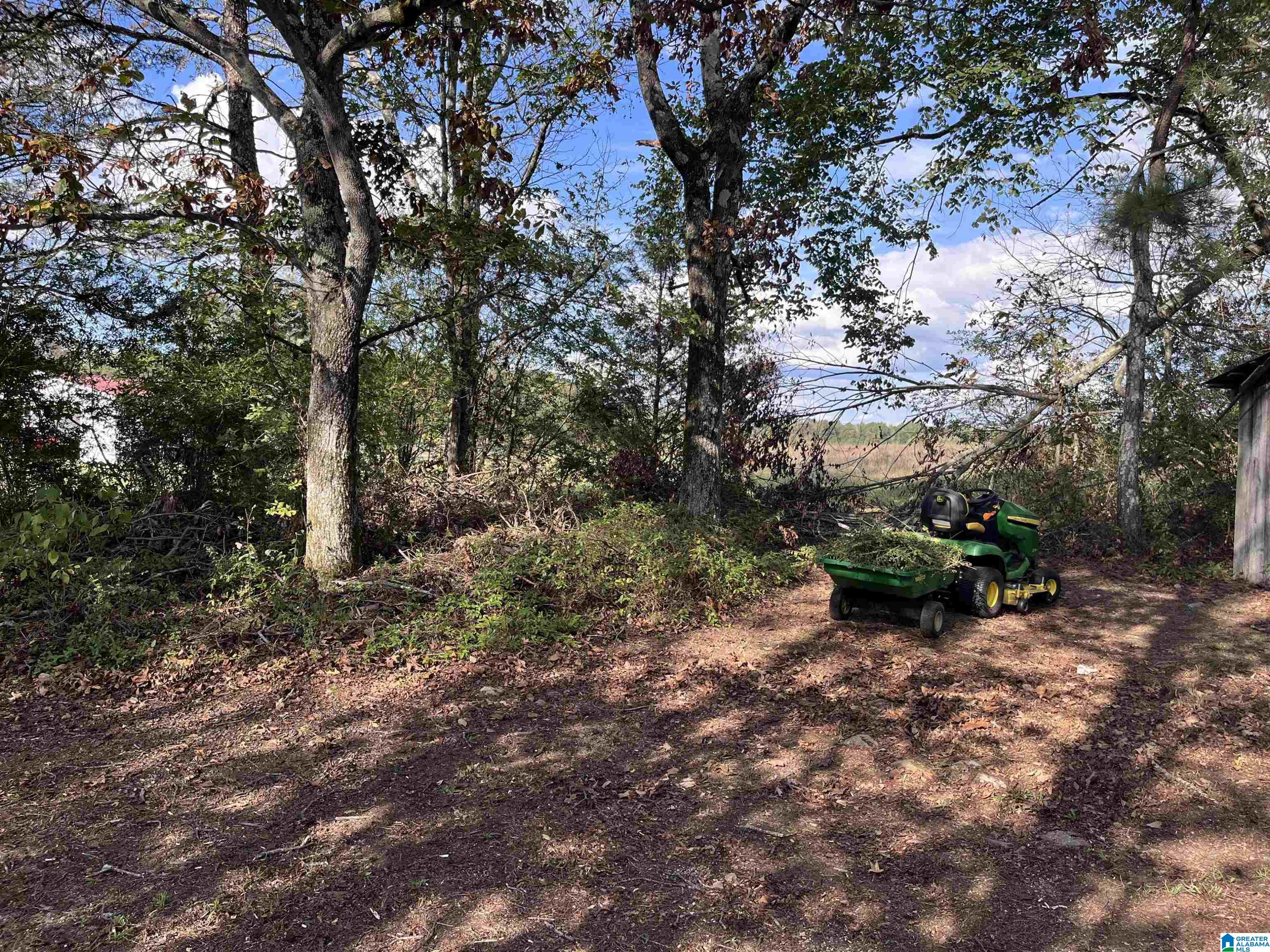 10568 County Road 121 Valley Head, AL 35989 - Photo 10 of 36
