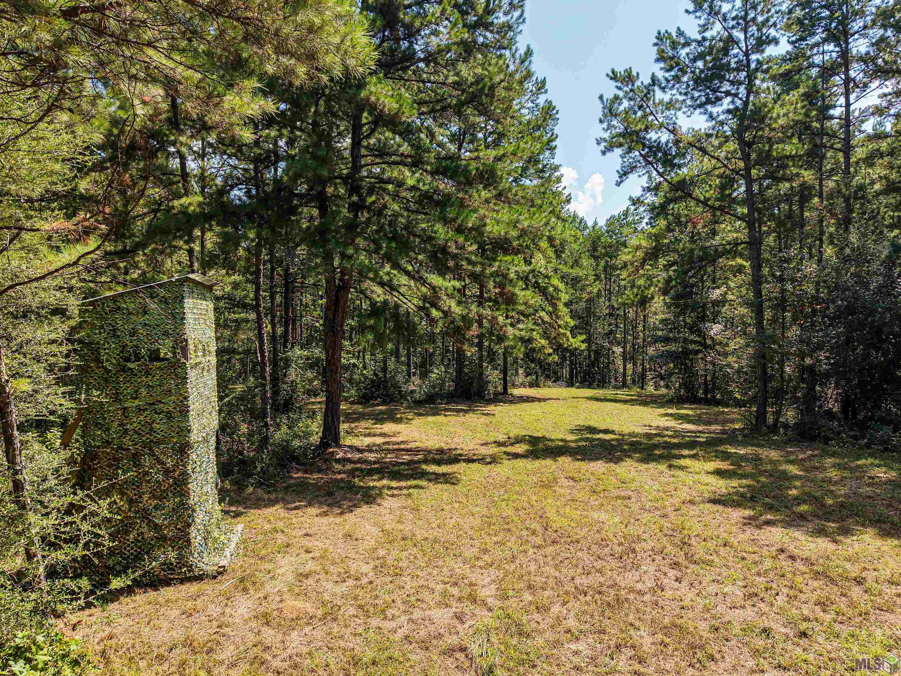 Tbd Jerusalem Road Liberty, MS 39645 - Photo 16 of 60 Gallery Image 16