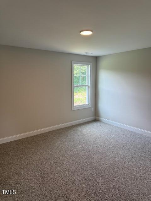 112 Surles Road Benson, NC 27504 - Photo 29 of 50 IMG_5910