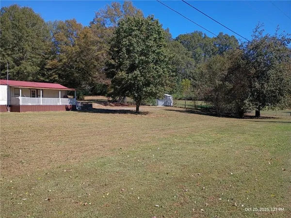 a view of a yard with large trees