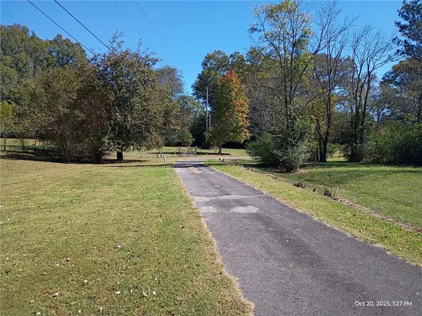 a view of a field with an tree