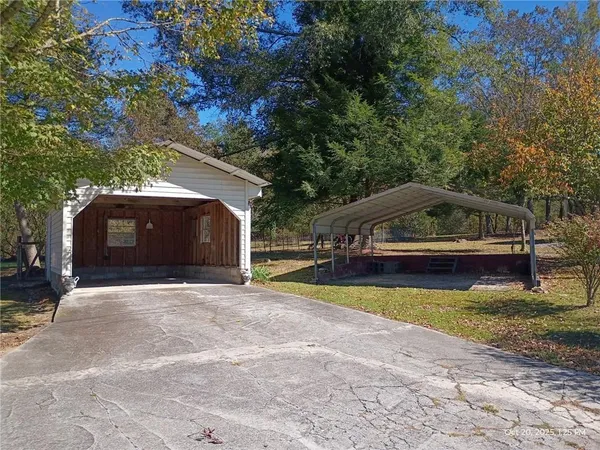 a large tree in the middle of a yard