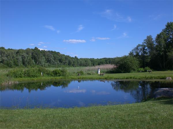 698 Town Farm Road Warren, MA 01083 - Photo 7 of 19 a view of a lake with houses in the background