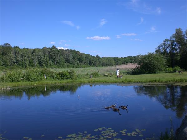 698 Town Farm Road Warren, MA 01083 - Photo 9 of 19 a view of a lake with houses in the back
