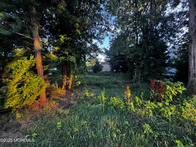a view of lake with a tree