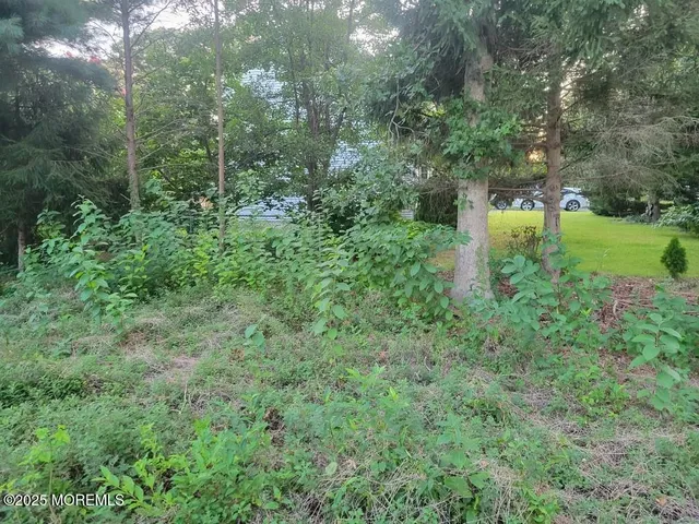 a view of a green yard with large trees