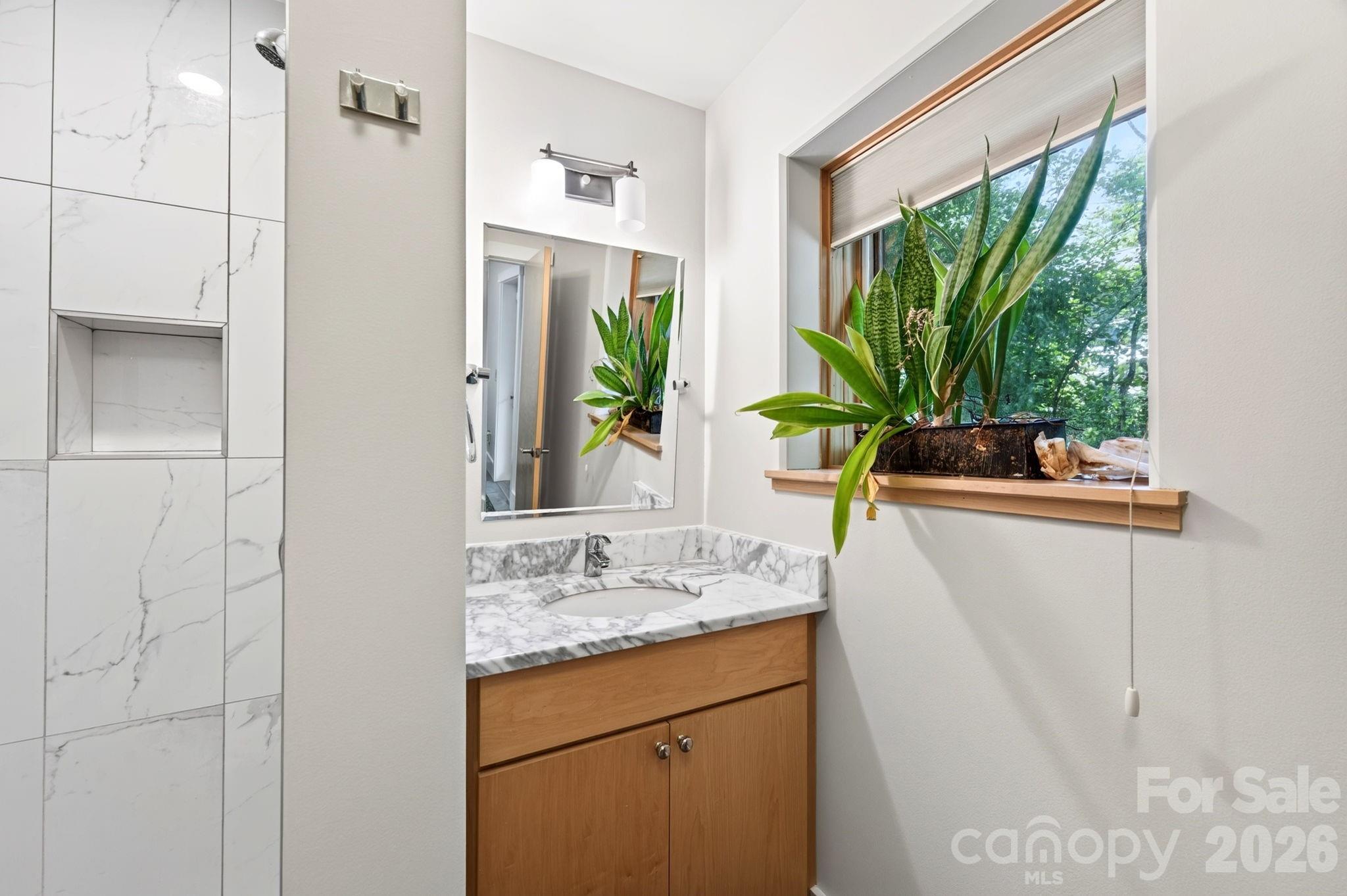 253 Edgewood Road Asheville, NC 28804 - Photo 17 of 38