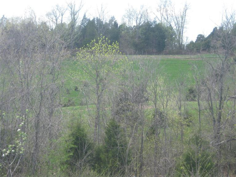 1183 Ashby Road Lawrenceburg, KY 40342 - Photo 30 of 38 Photo 30
