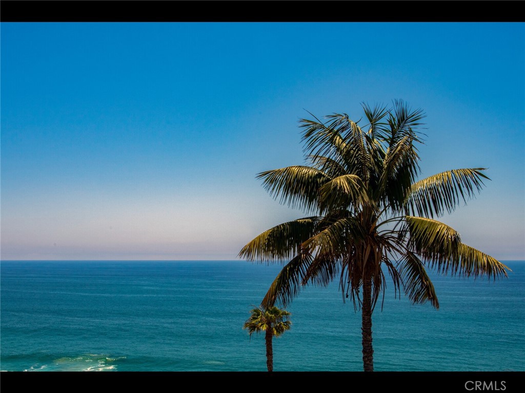 32041 Point Place Laguna Beach, CA 92651 - Photo 2 of 59