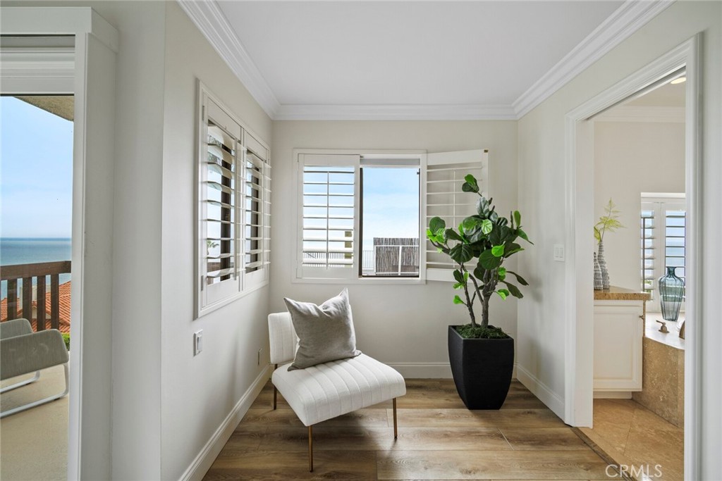 32041 Point Place Laguna Beach, CA 92651 - Photo 27 of 59 a living room with furniture and a potted plant