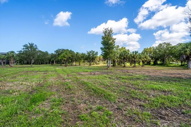 a view of a field with a tree in the background