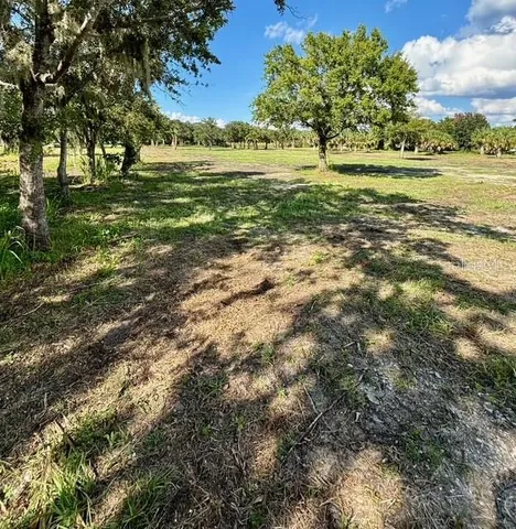 a view of a tree in a field