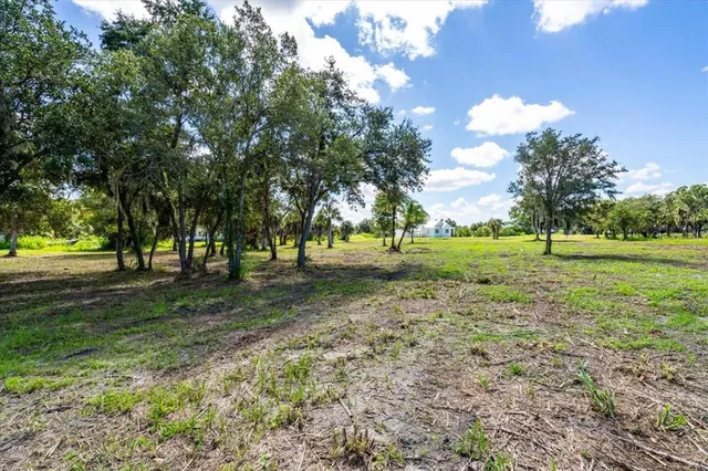 a view of a trees with a yard