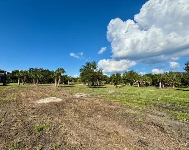 a view of dirt field with large trees