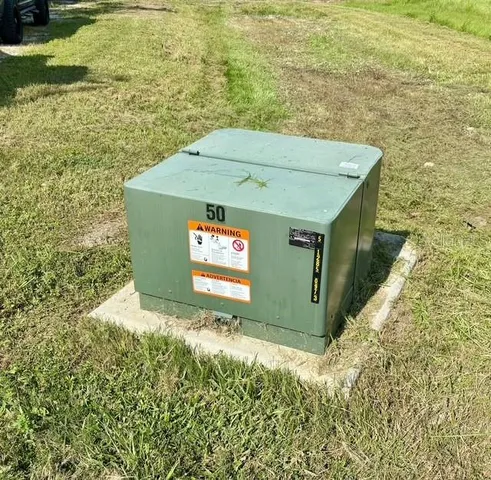 a view of a park with large trees