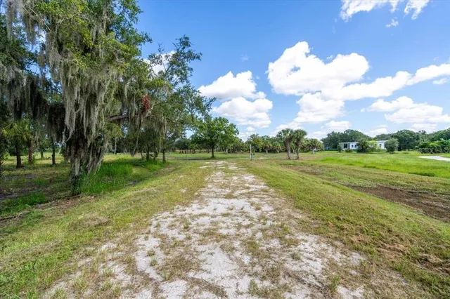 a view of a park with large trees