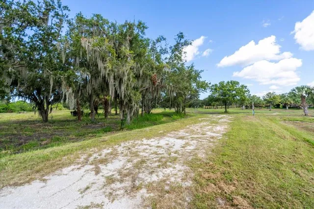 a view of a yard with a house
