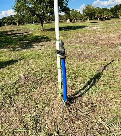 a view of a park with large trees