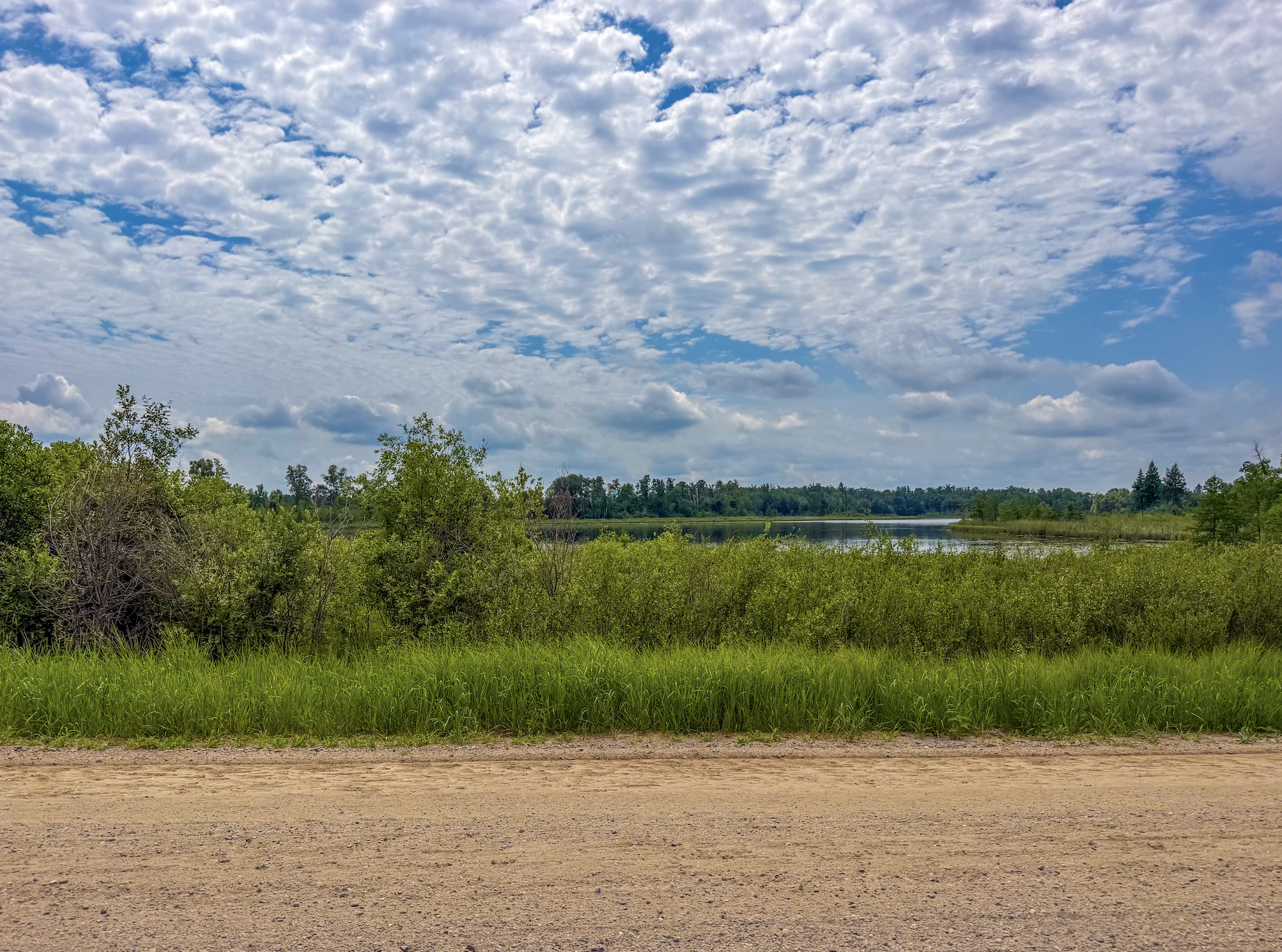 Tbd Grant Hills Road Southwest Bemidji, MN 56601 - Photo 8 of 9