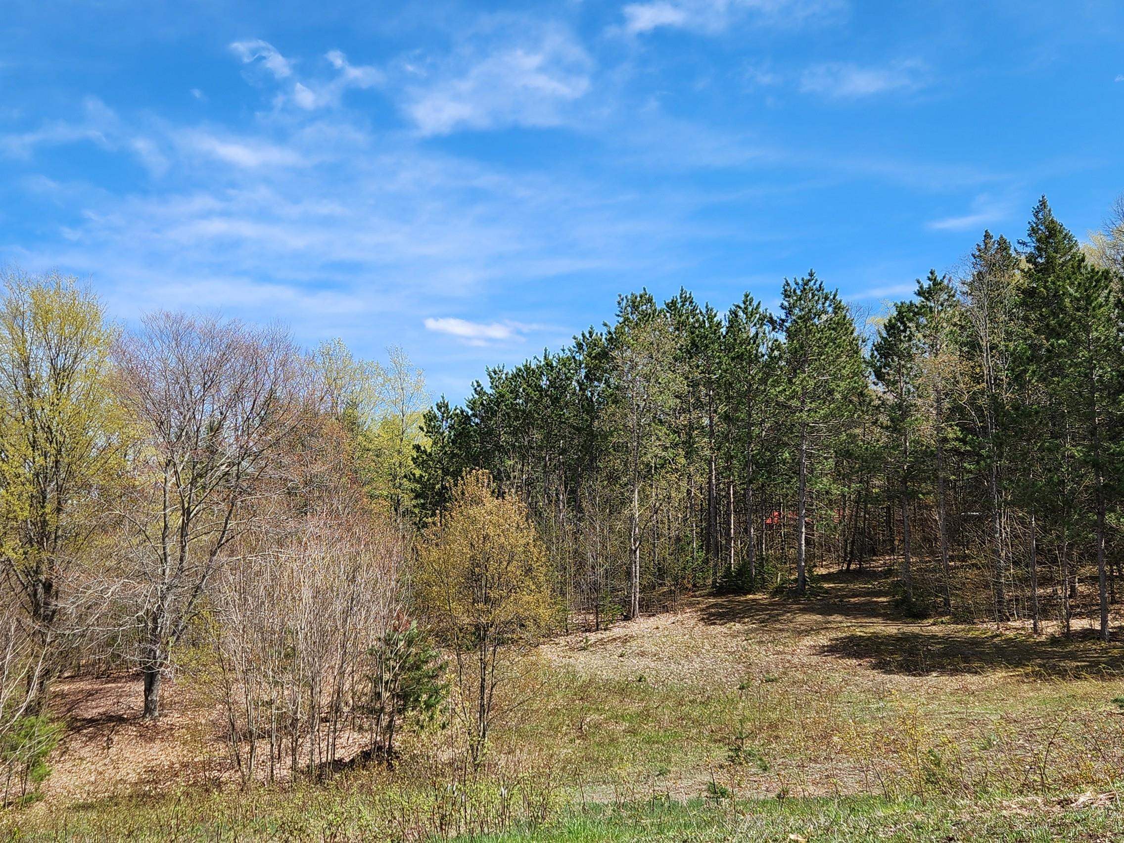 7777 Henschell Road Southwest South Boardman, MI 49680 - Photo 6 of 31