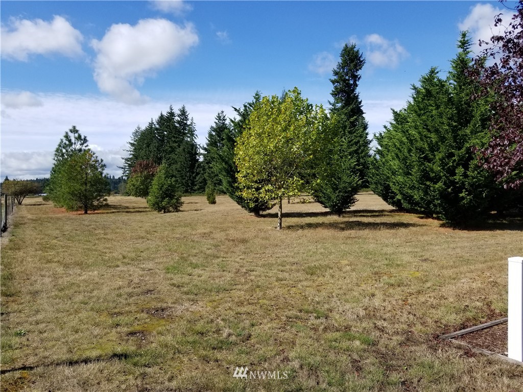 4330 169th Avenue Southwest Rochester, WA 98579 - Photo 4 of 24