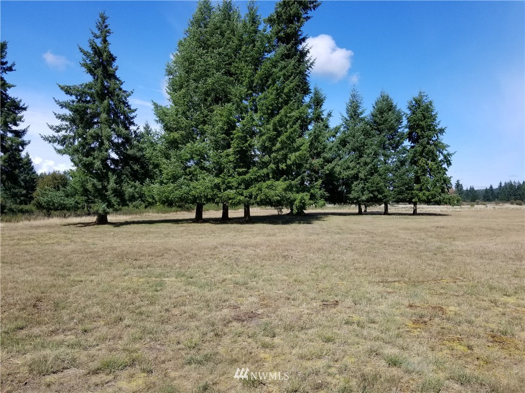 4330 169th Avenue Southwest Rochester, WA 98579 - Photo 7 of 24