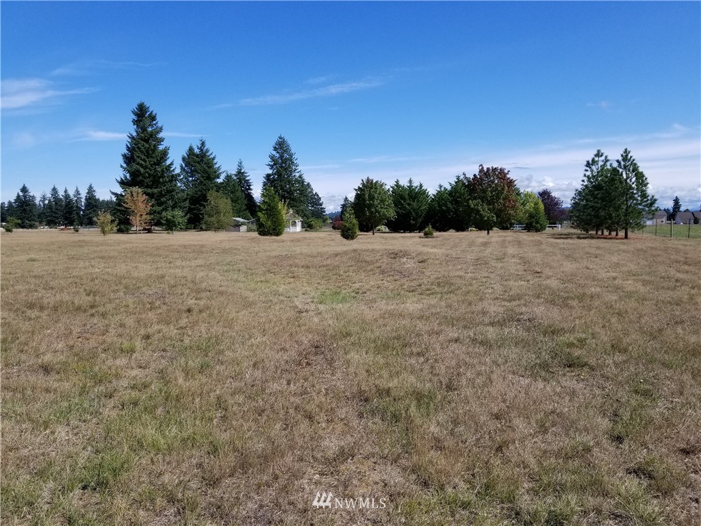 4330 169th Avenue Southwest Rochester, WA 98579 - Photo 8 of 24