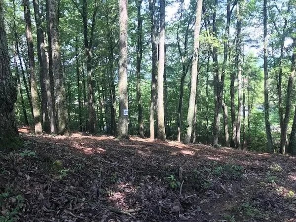 $50,000 | 25 Piney Knob Drive, Spring City, TN 37381