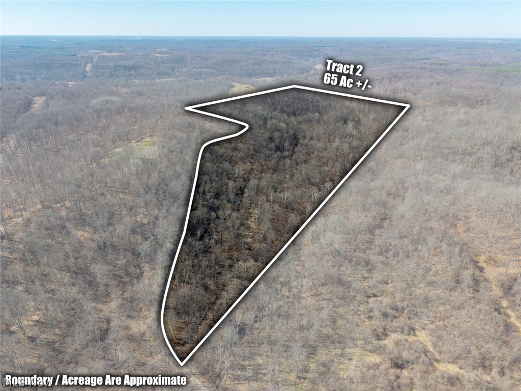 0 Clem Garvin Road Caldwell, OH 43724 - Photo 38 of 50 Aerial view of property and surrounding area with a heavily wooded area and property parcel outlined