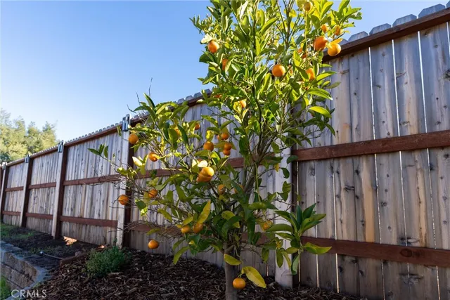 a view of swimming pool with a yard