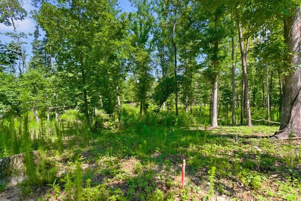 0 Williams Road Southeast Silver Creek, GA 30173 - Photo 18 of 35